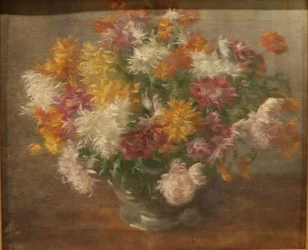 Chryzantemy